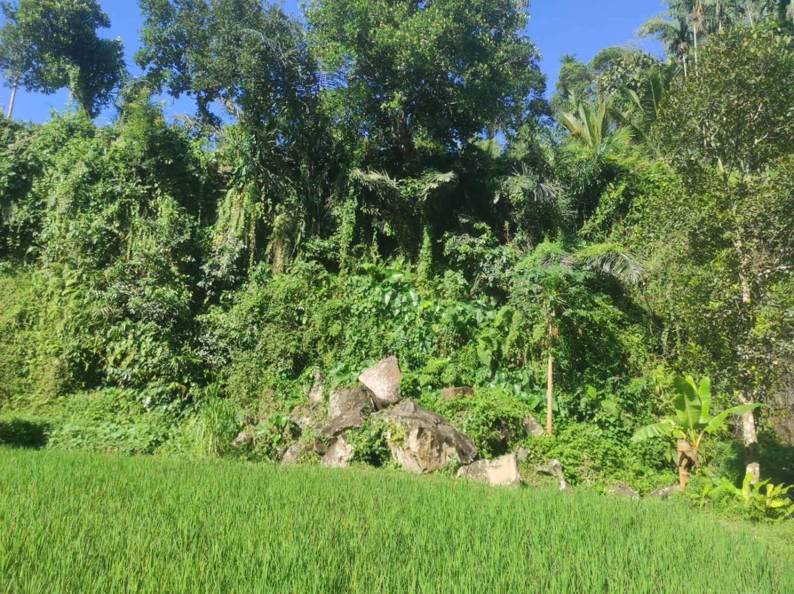Nan Bungalows テテバトゥ エクステリア 写真